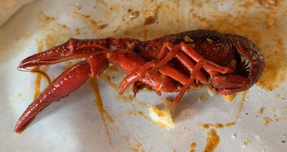Crawfish